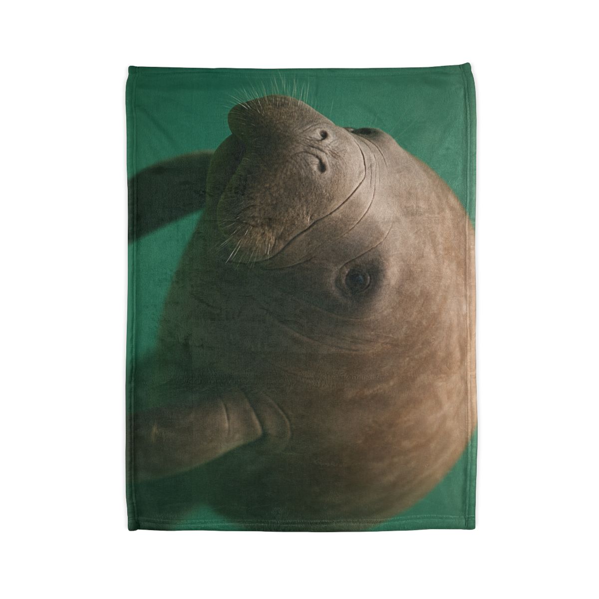 Glasswater Drifter West Indian Manatee stylish throw blankets