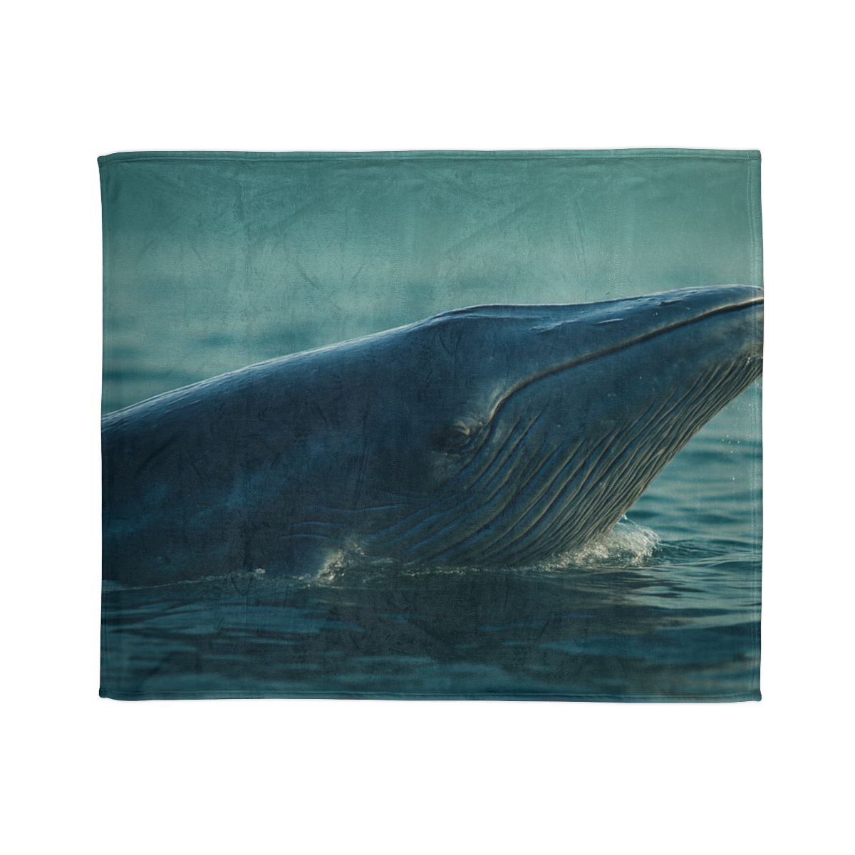 Ocean Song Blue Whale stylish throw blankets