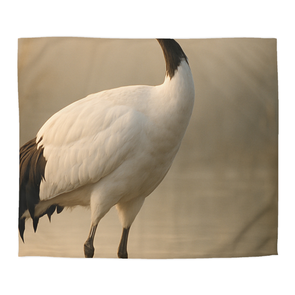 Dawn Balance Red Crowned Crane duvets for gifts