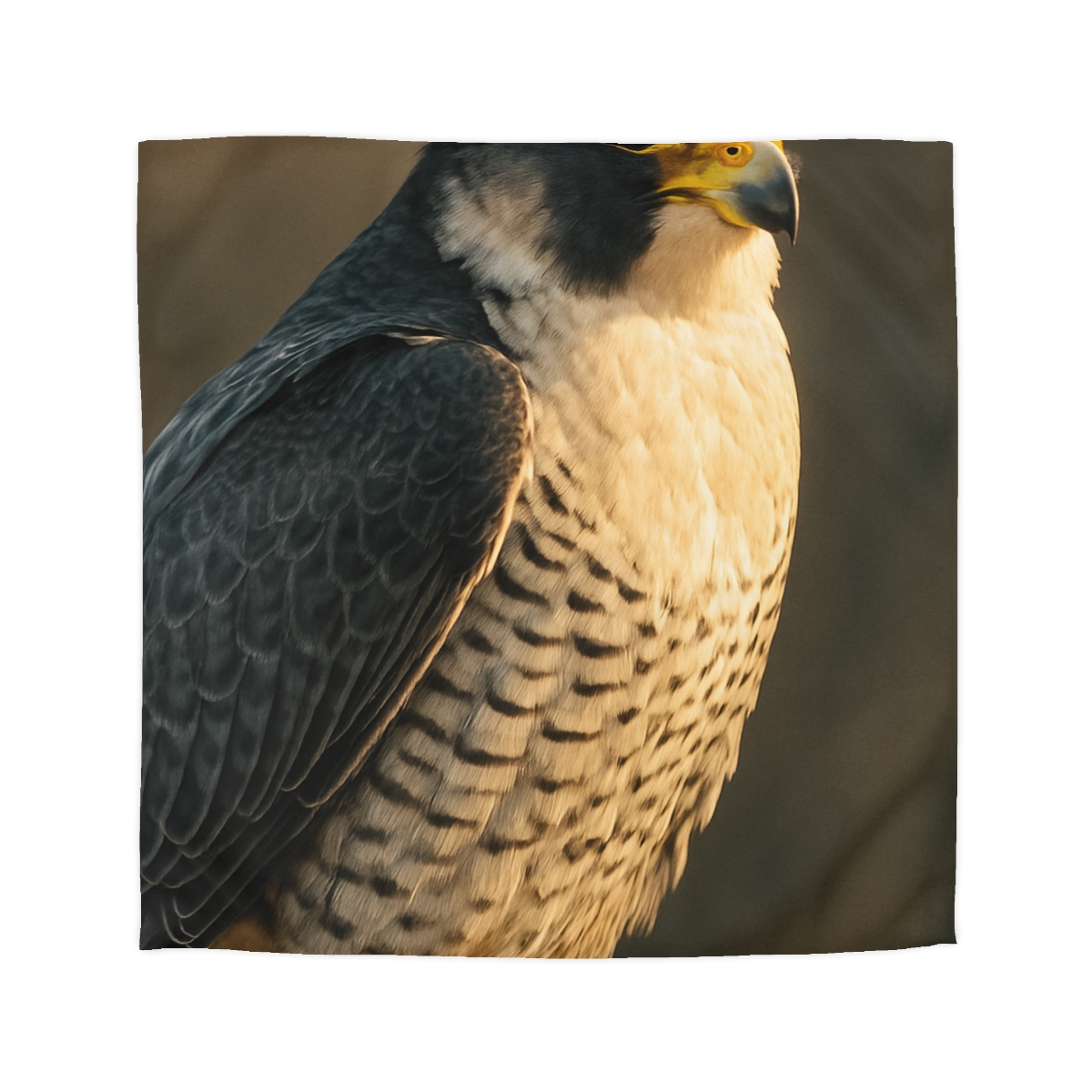 Starlit Poise Peregrine Falcon designer printed duvets