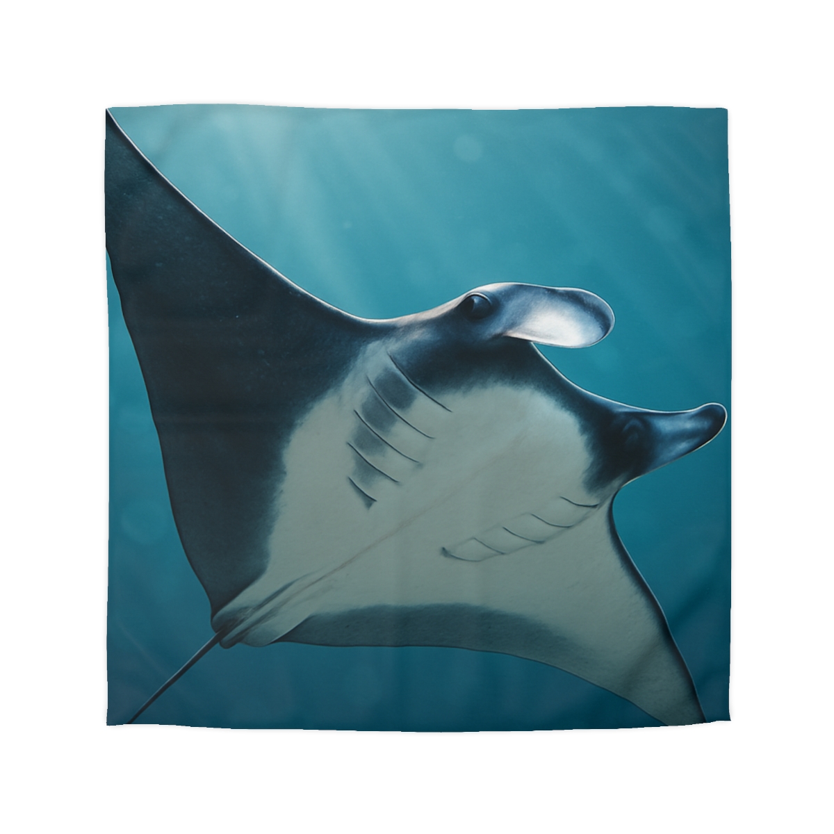Starlit Surge Manta Ray unique patterned duvets