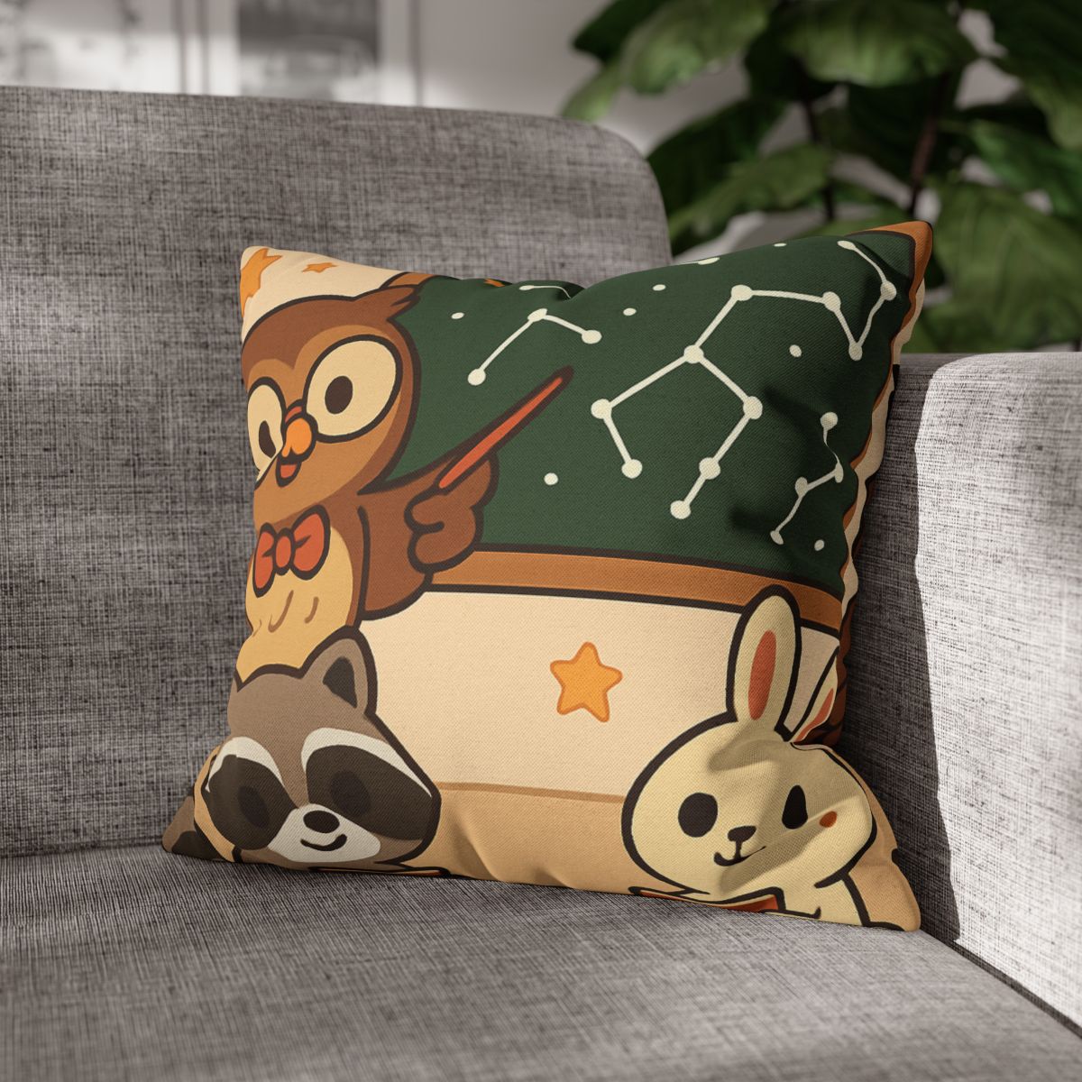 Comet Classroom Owl And The Star Map Chalkboard soft cotton pillow cases