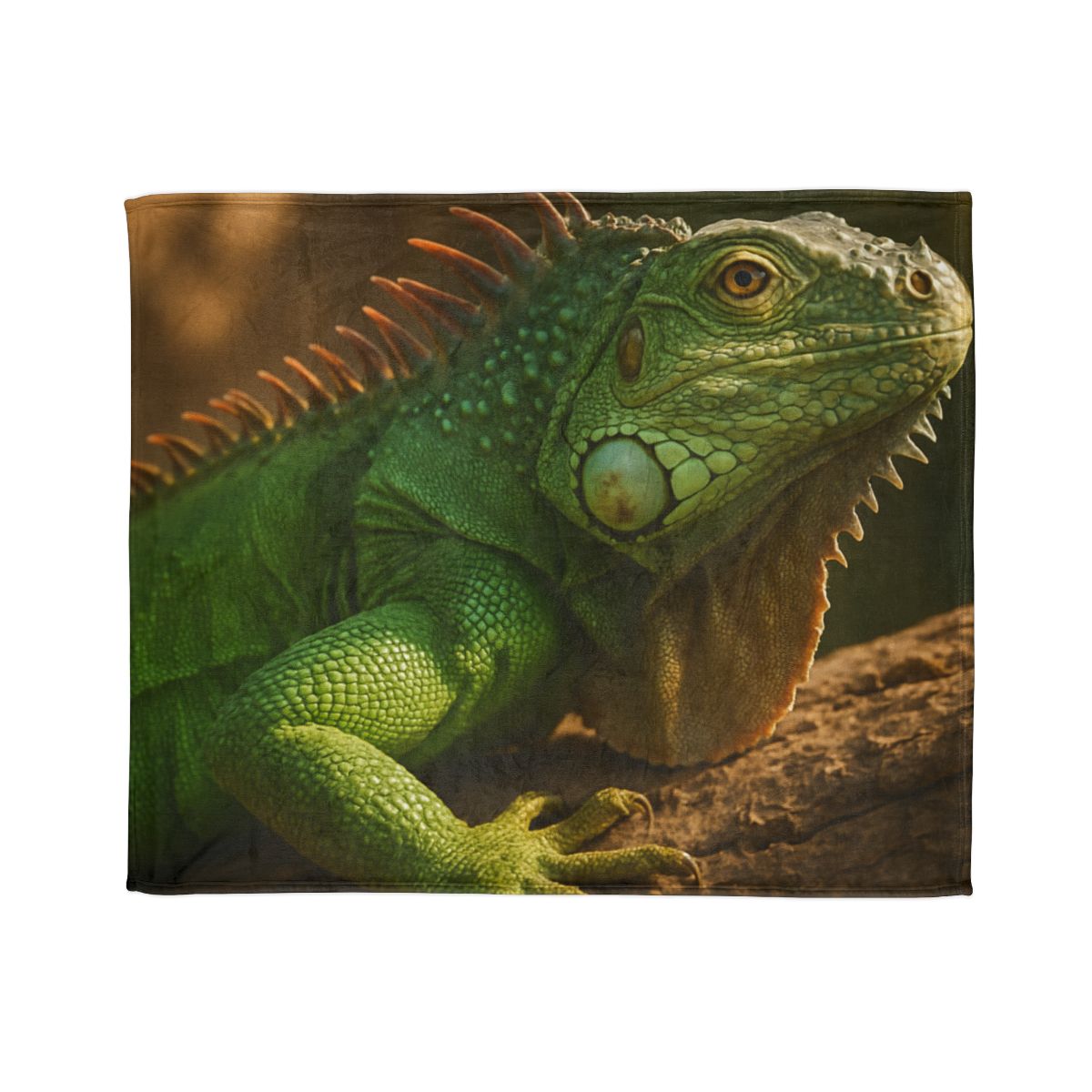 Sunlit Perch Green Iguana warm winter blankets