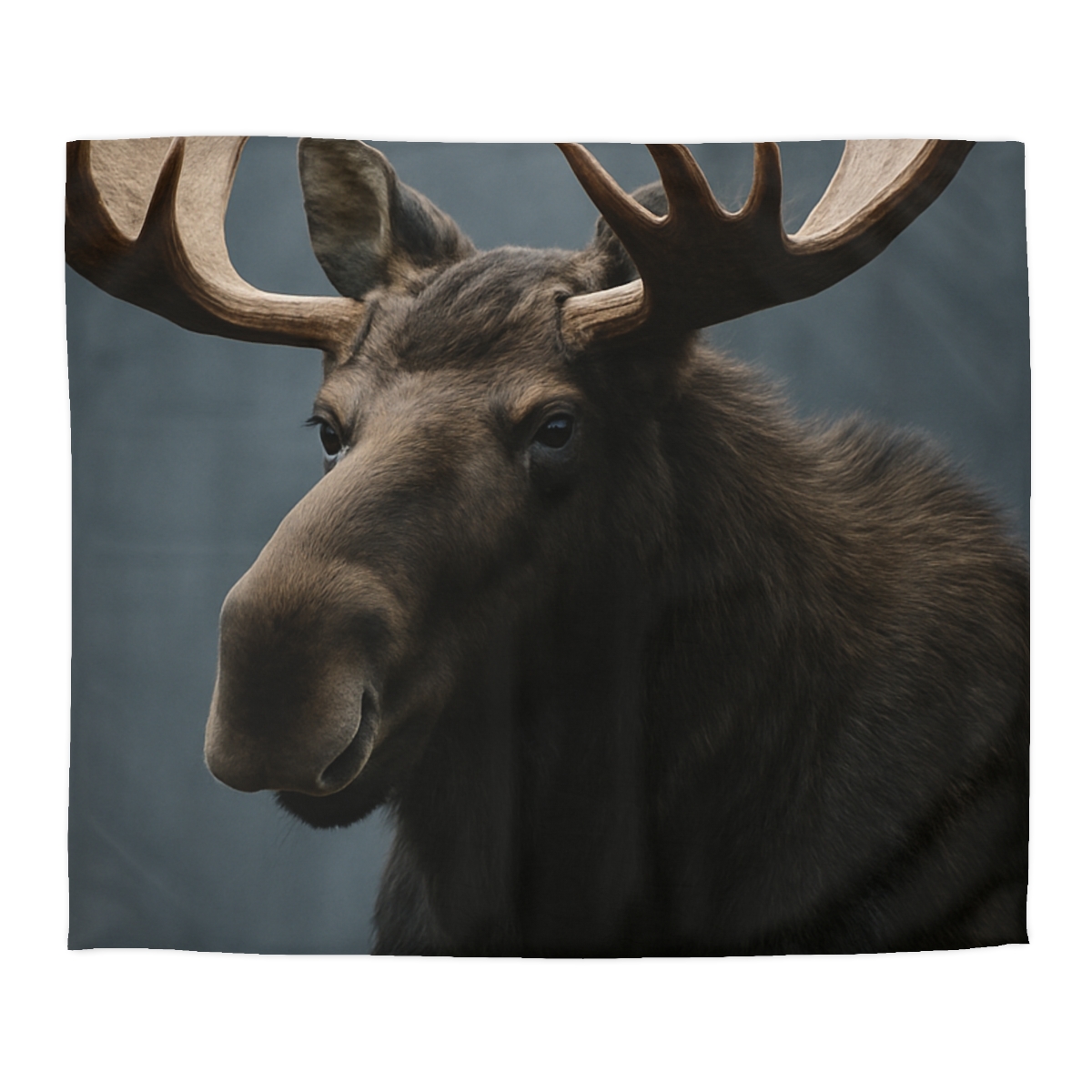 Quiet Titan Moose warm winter duvets