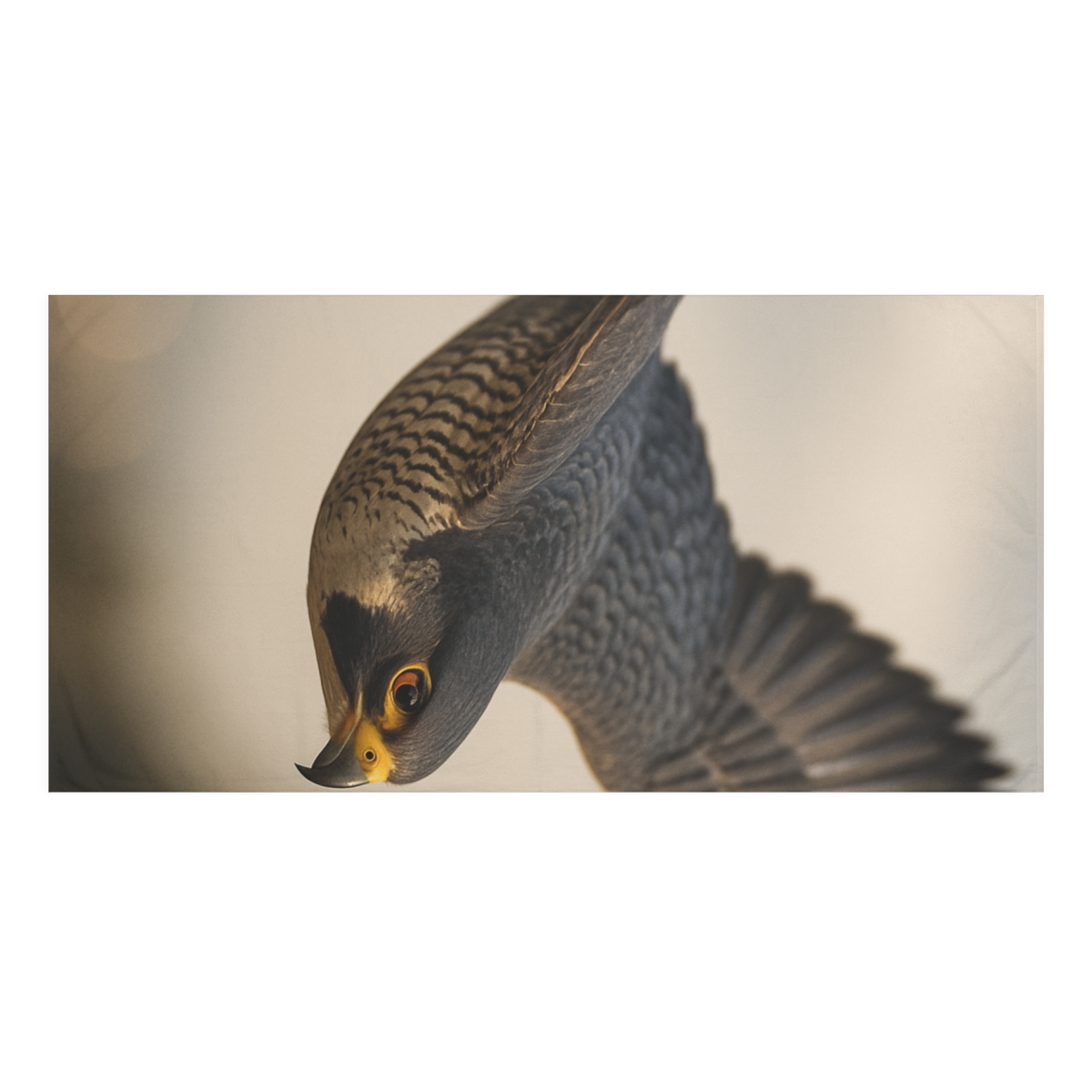 Starlit Dive Peregrine Falcon comfortable face towels