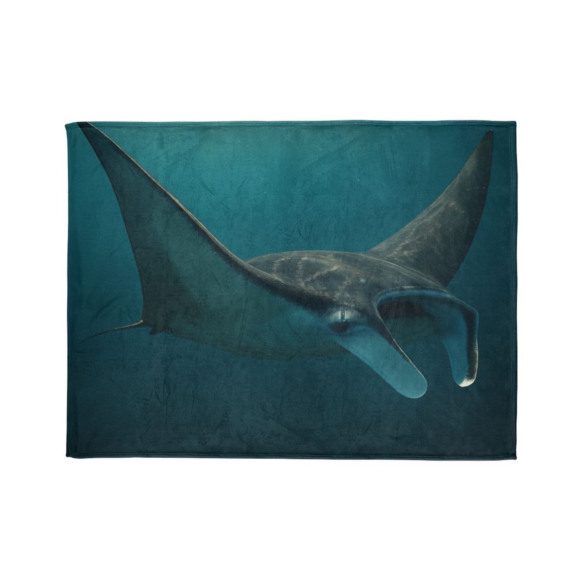Starlit Drift Manta Ray warm winter blankets