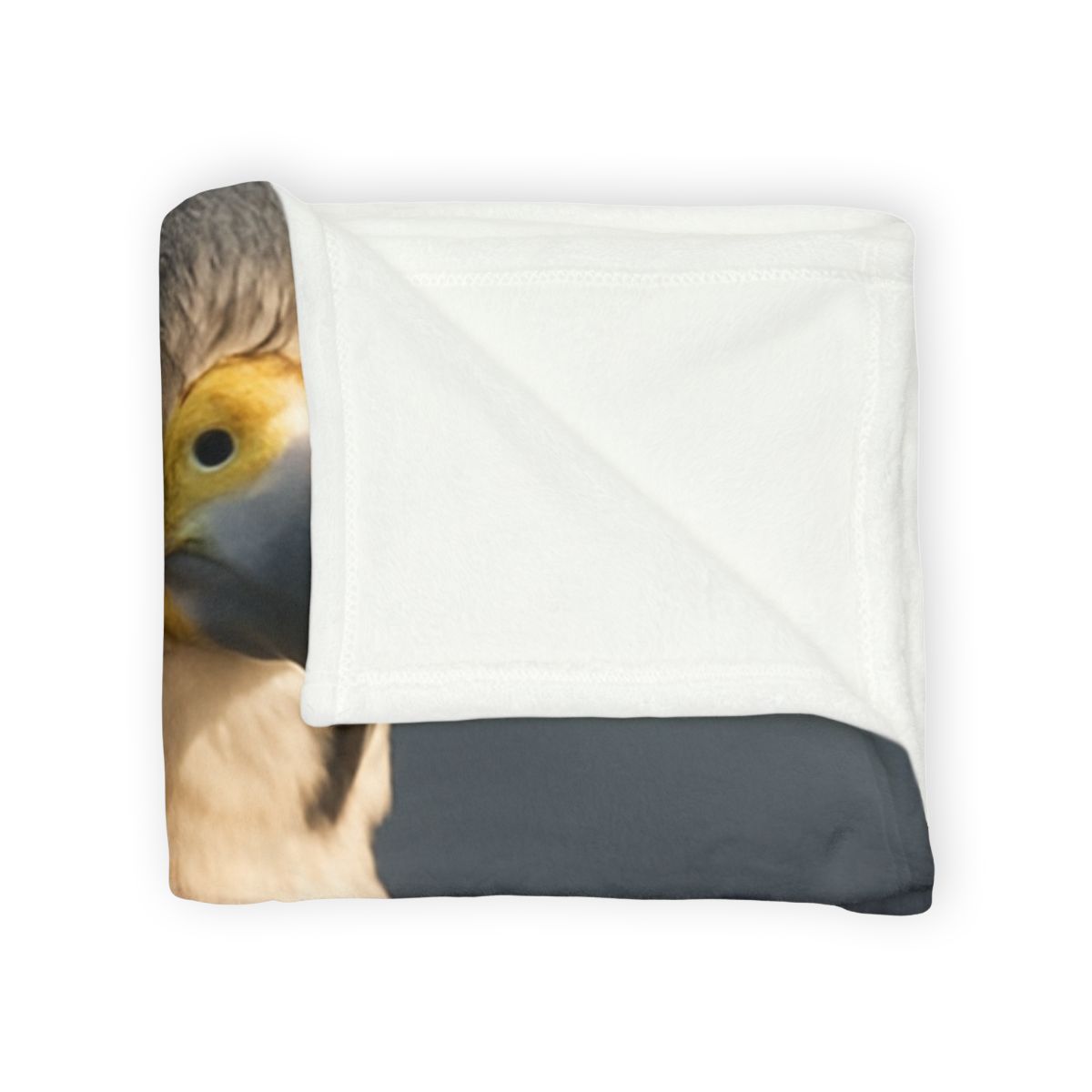 Velocity Vow Peregrine Falcon decorative home blankets