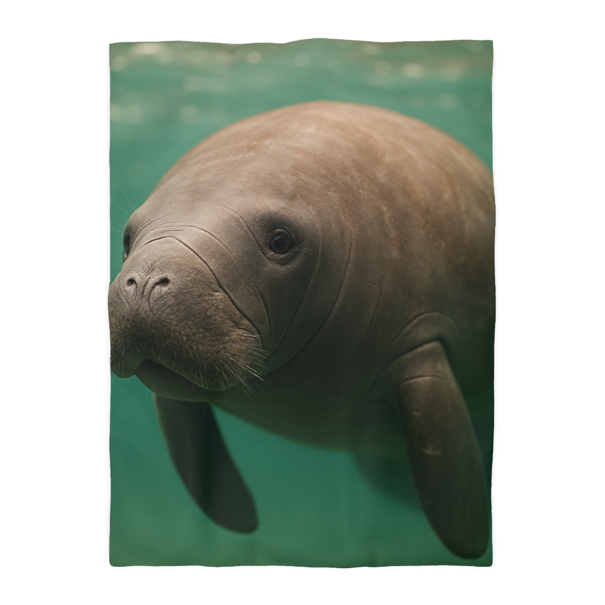 Glasswater Drifter West Indian Manatee unique patterned duvets