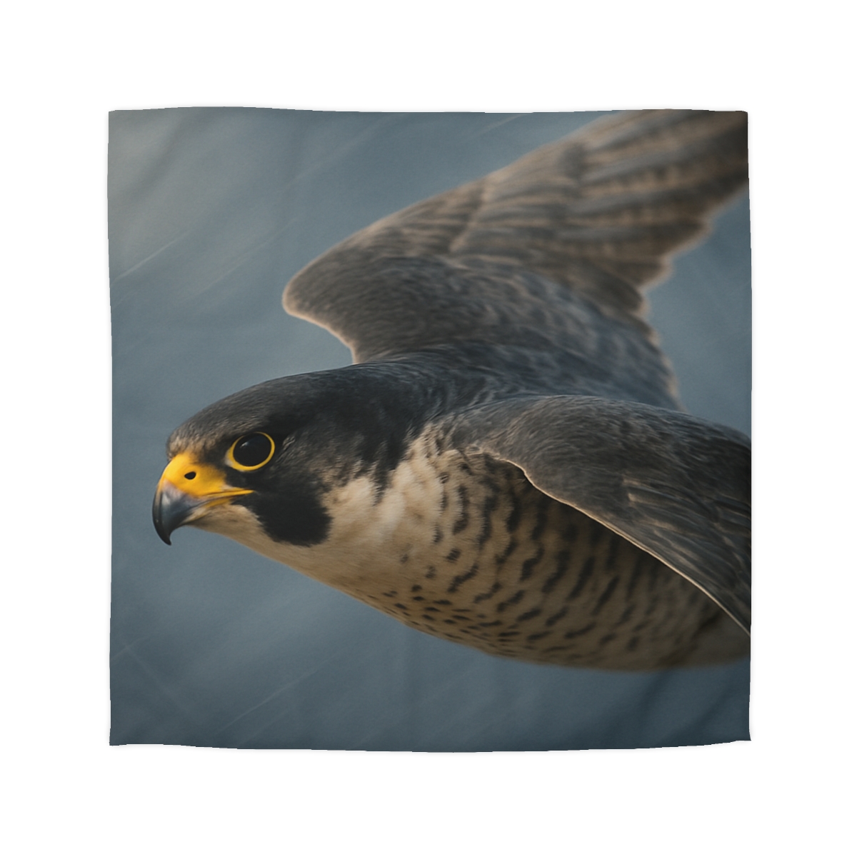 Comet Dive Peregrine Falcon soft comforter duvets