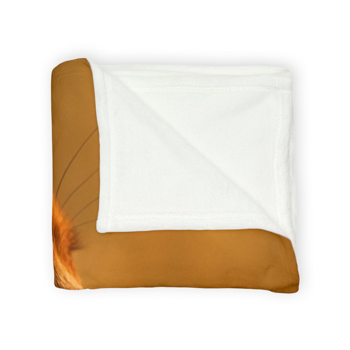 Amber Gaze Red Fox designer printed blankets