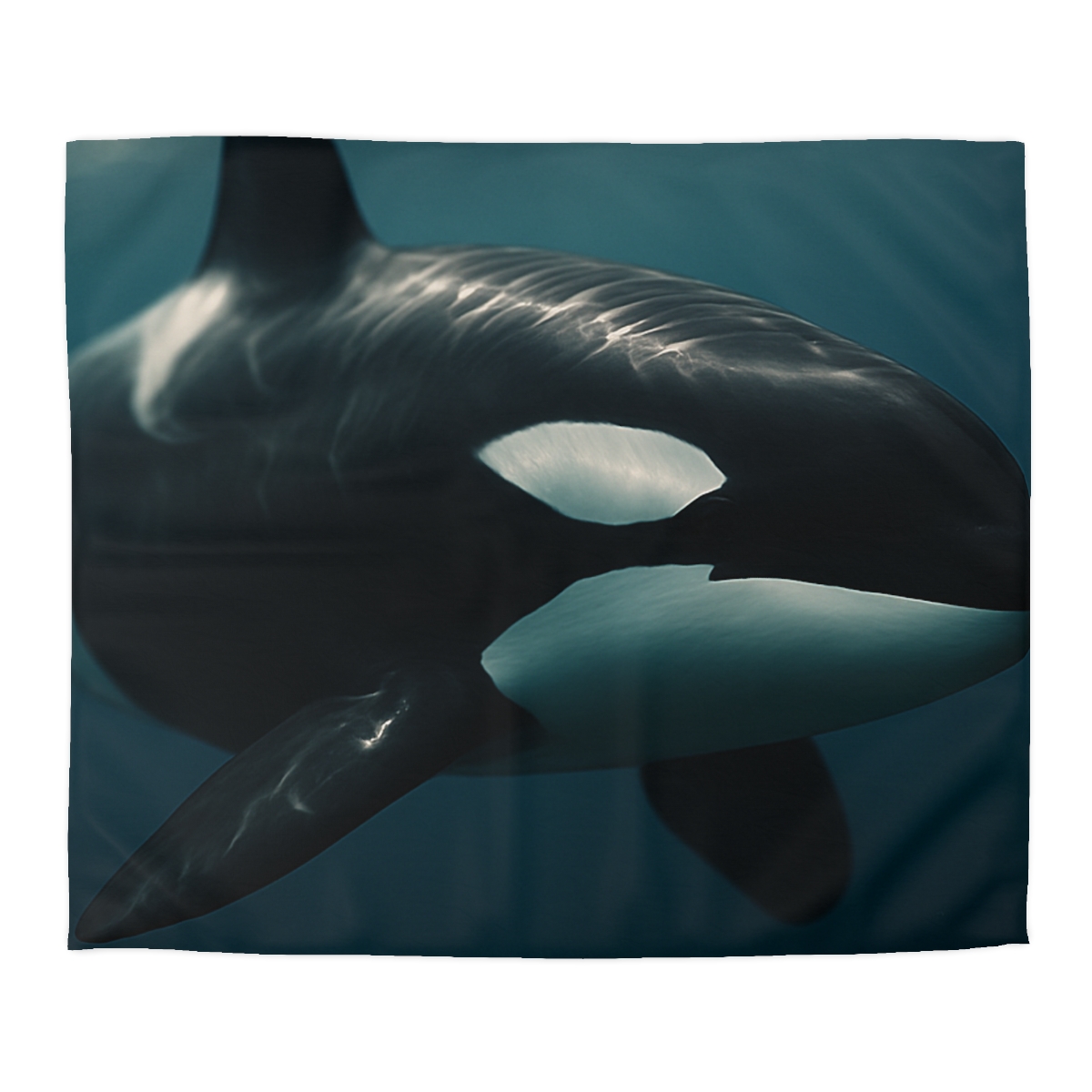 Tidal Shadow Orca duvets for gifts