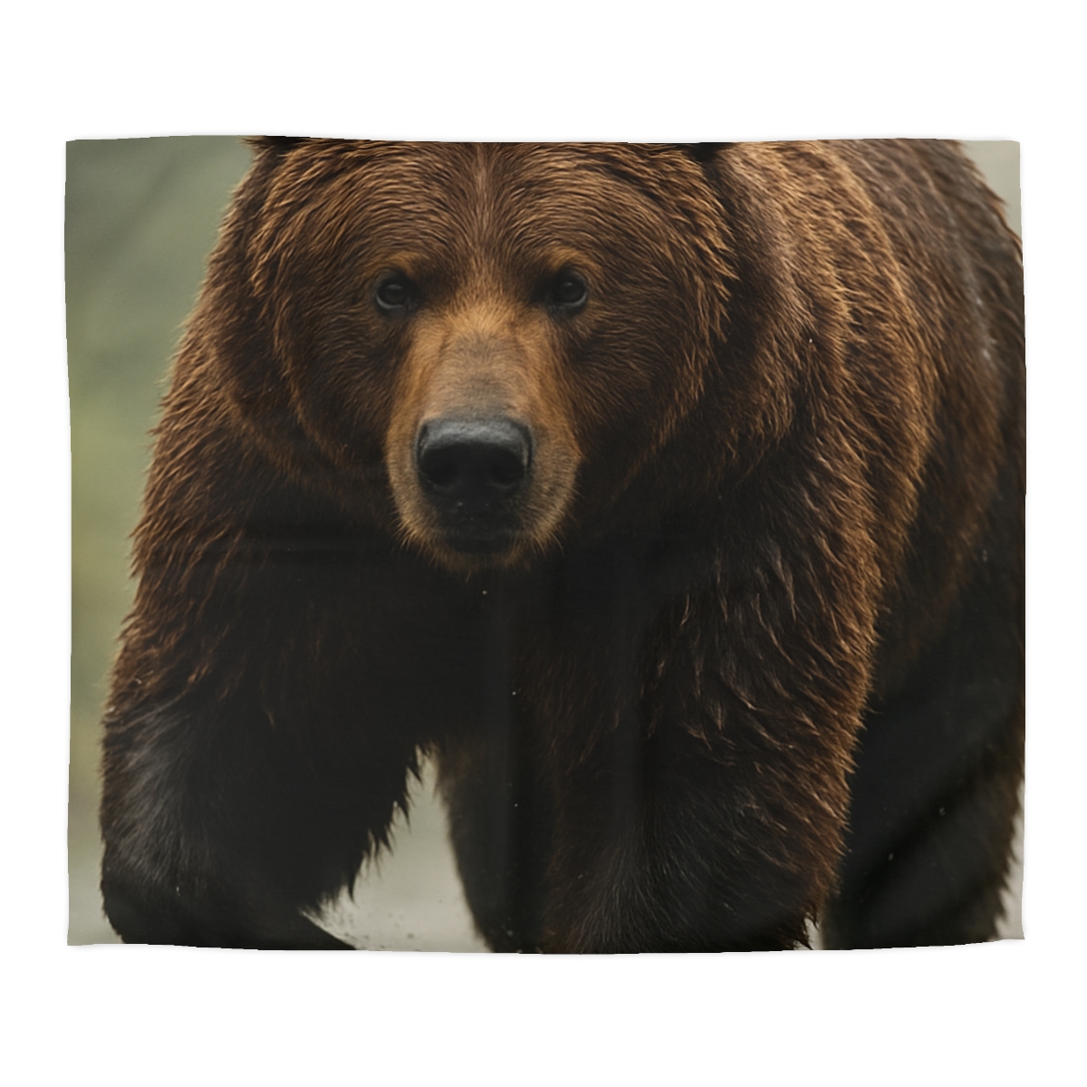 River King Grizzly Bear duvets for gifts