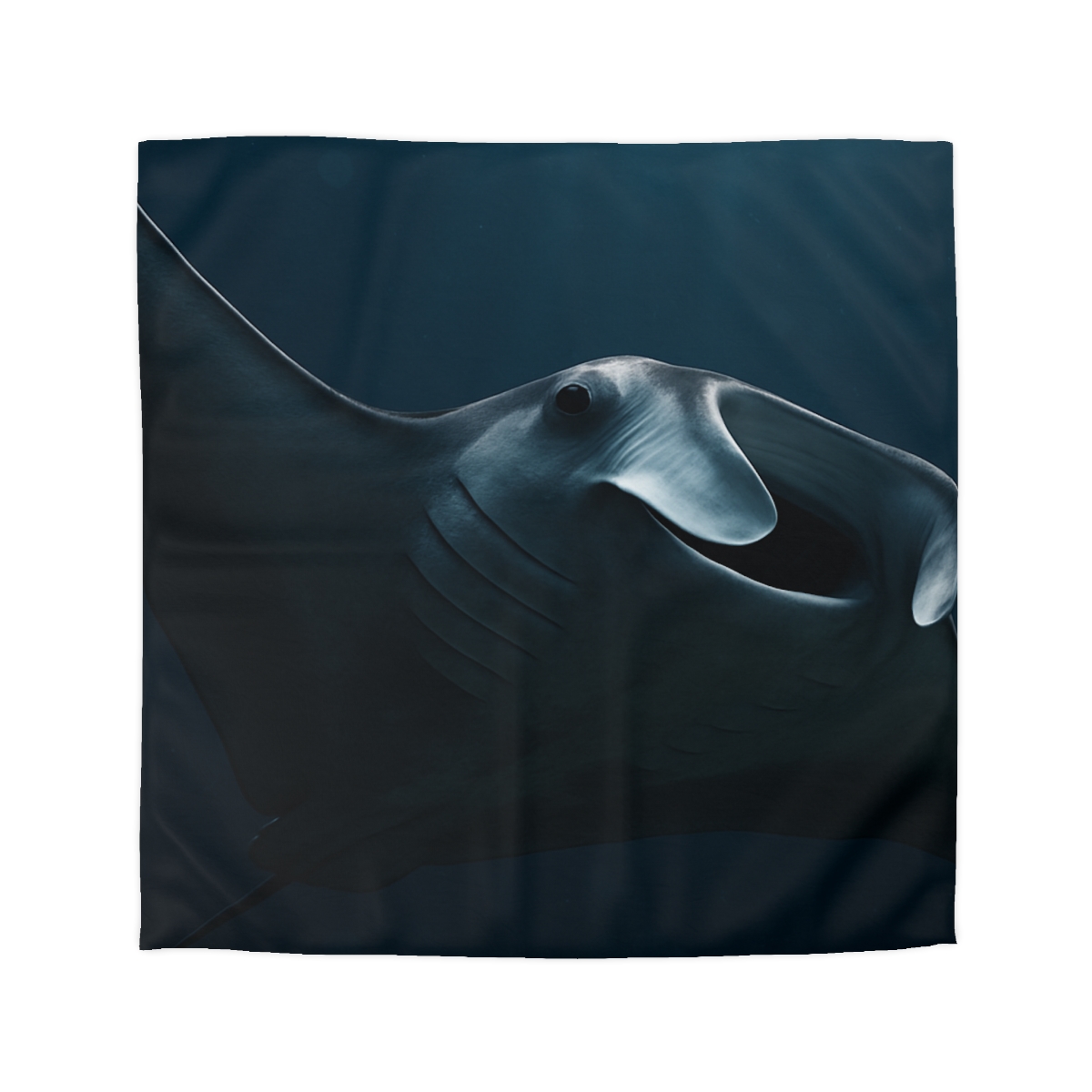 Lunar Current Manta Ray duvets for gifts