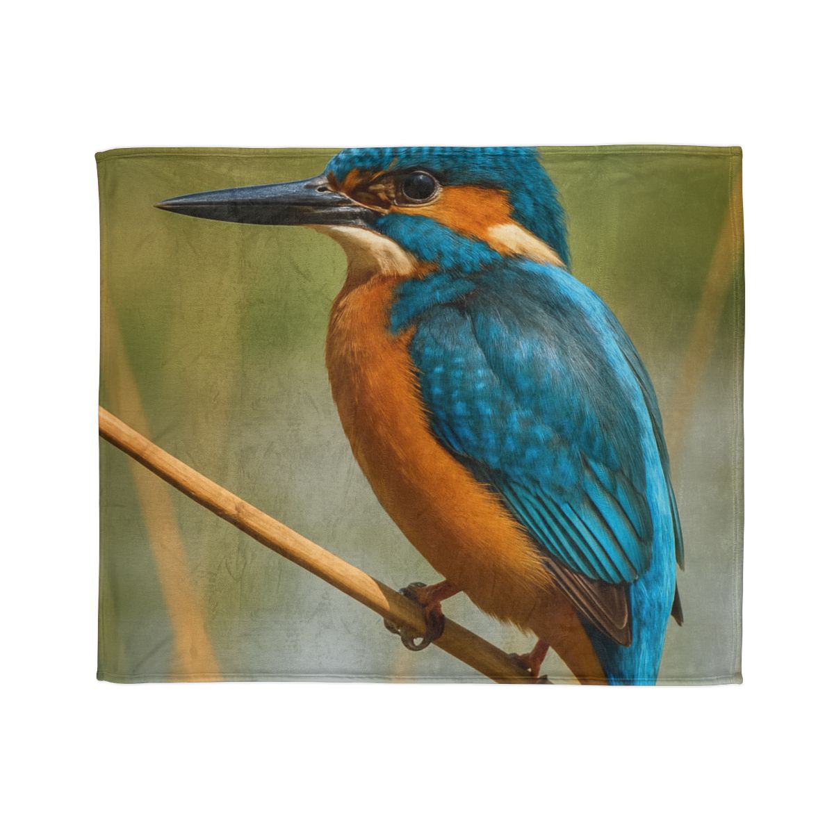 Prism Flash Common Kingfisher warm winter blankets