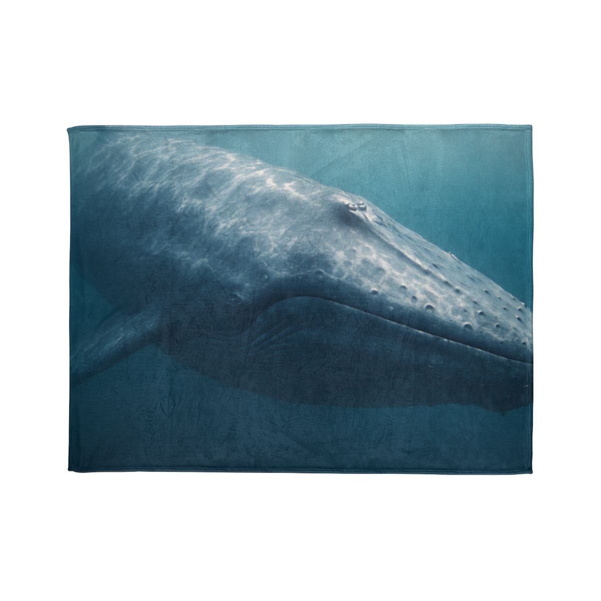Ocean Song Blue Whale personalized cozy blankets