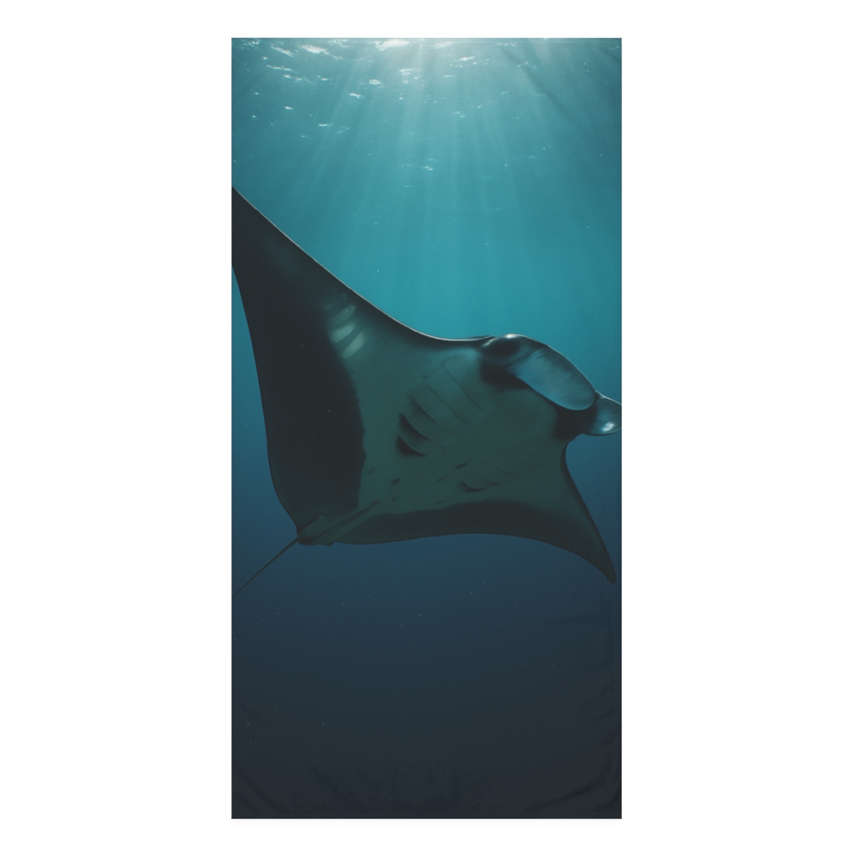 Blue Current Manta Ray designer printed towels
