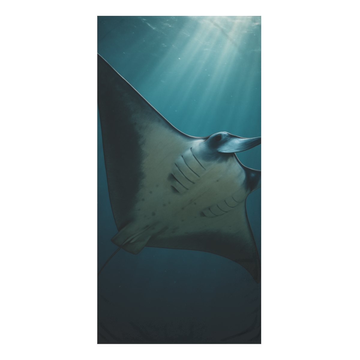 Blue Gravity Manta Ray personalized bath towels