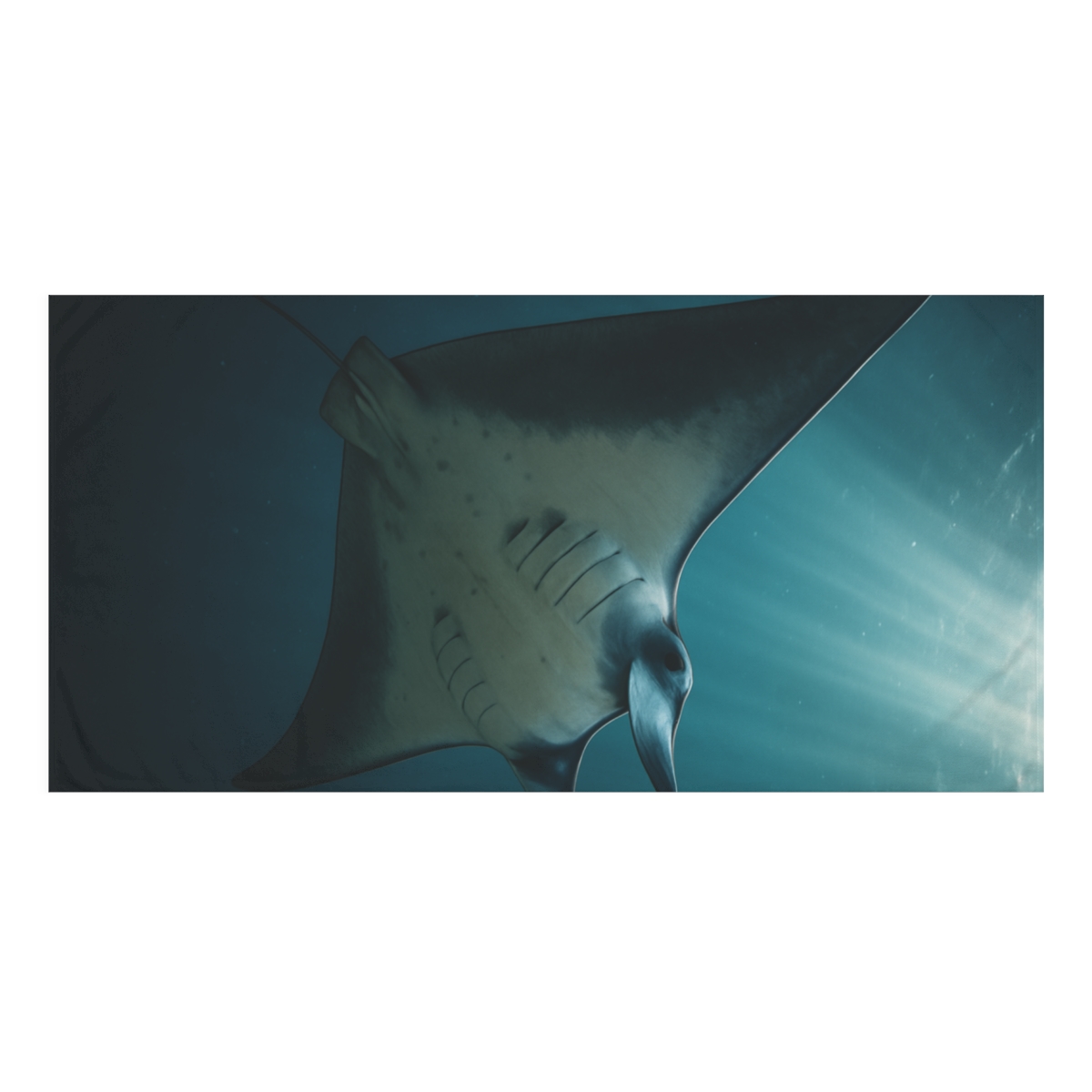 Blue Gravity Manta Ray personalized bath towels