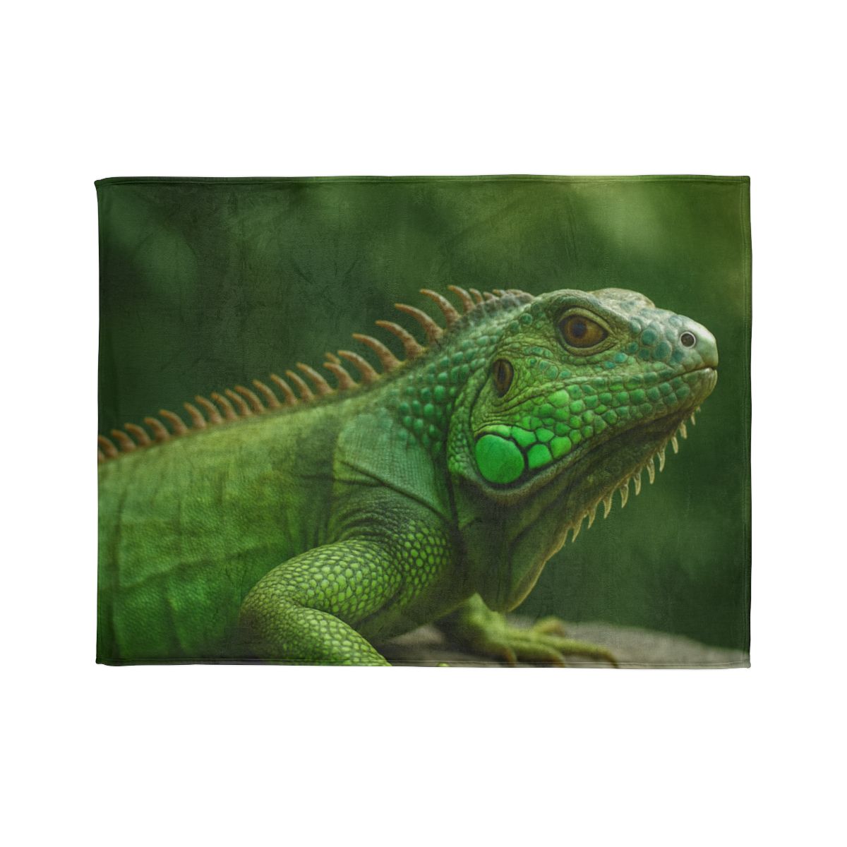 Stone Watcher Green Iguana decorative home blankets