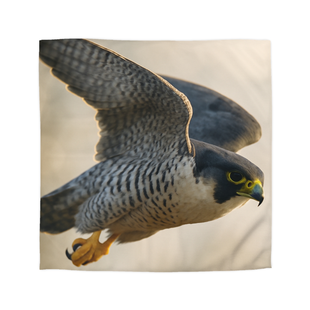 Sky Bolt Peregrine Falcon warm winter duvets