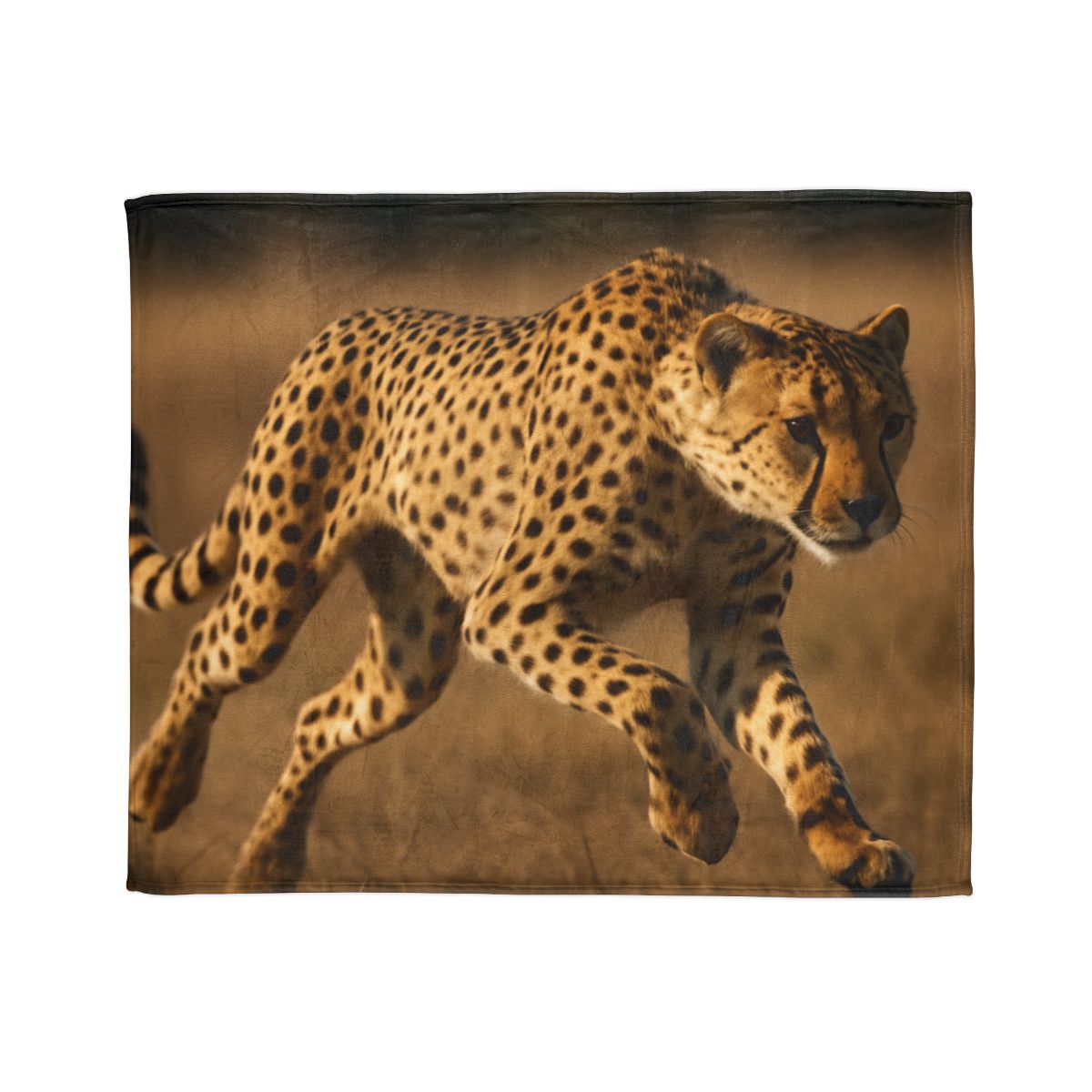 Sun Dash Cheetah trendy patterned blankets