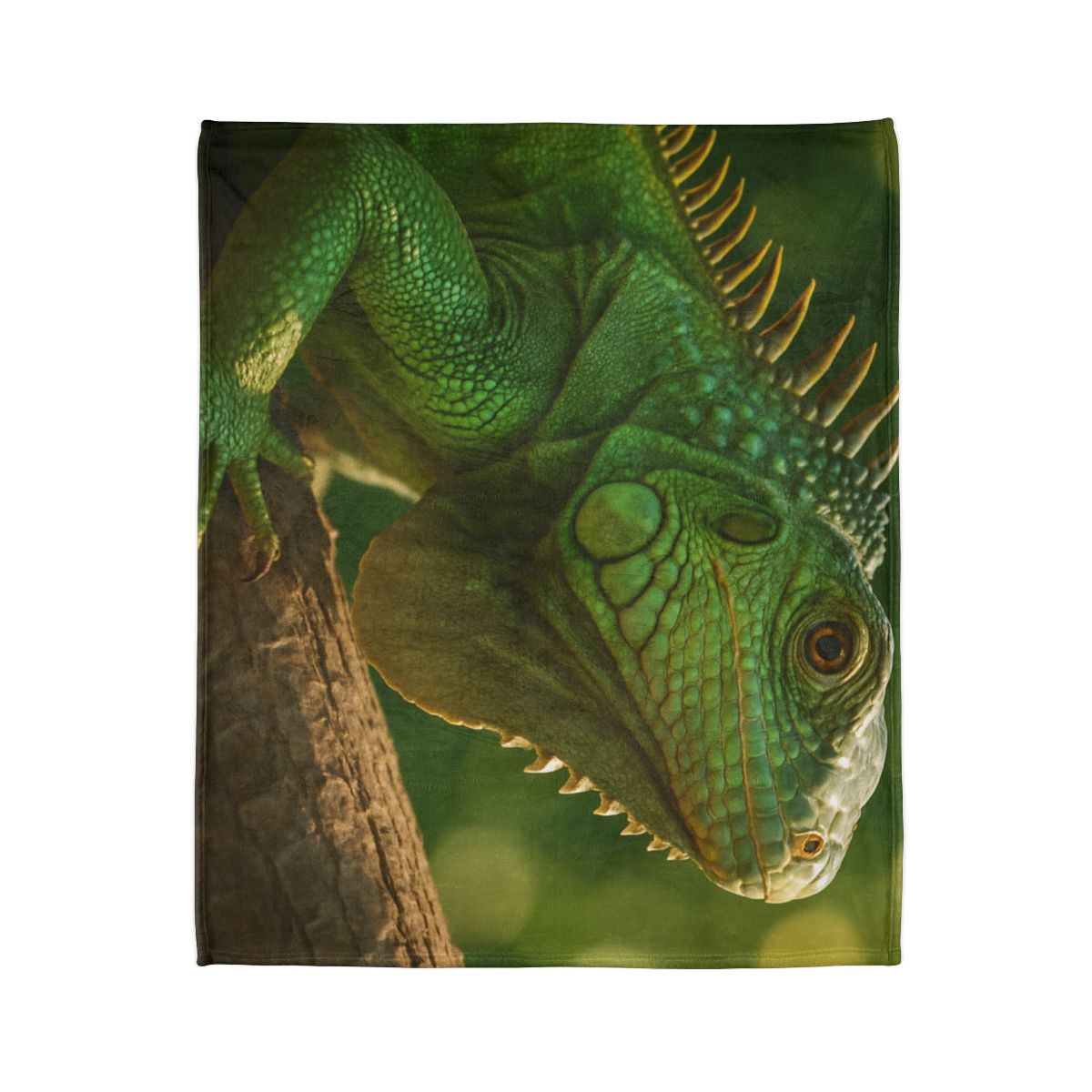 Sun Dappled Green Iguana stylish throw blankets