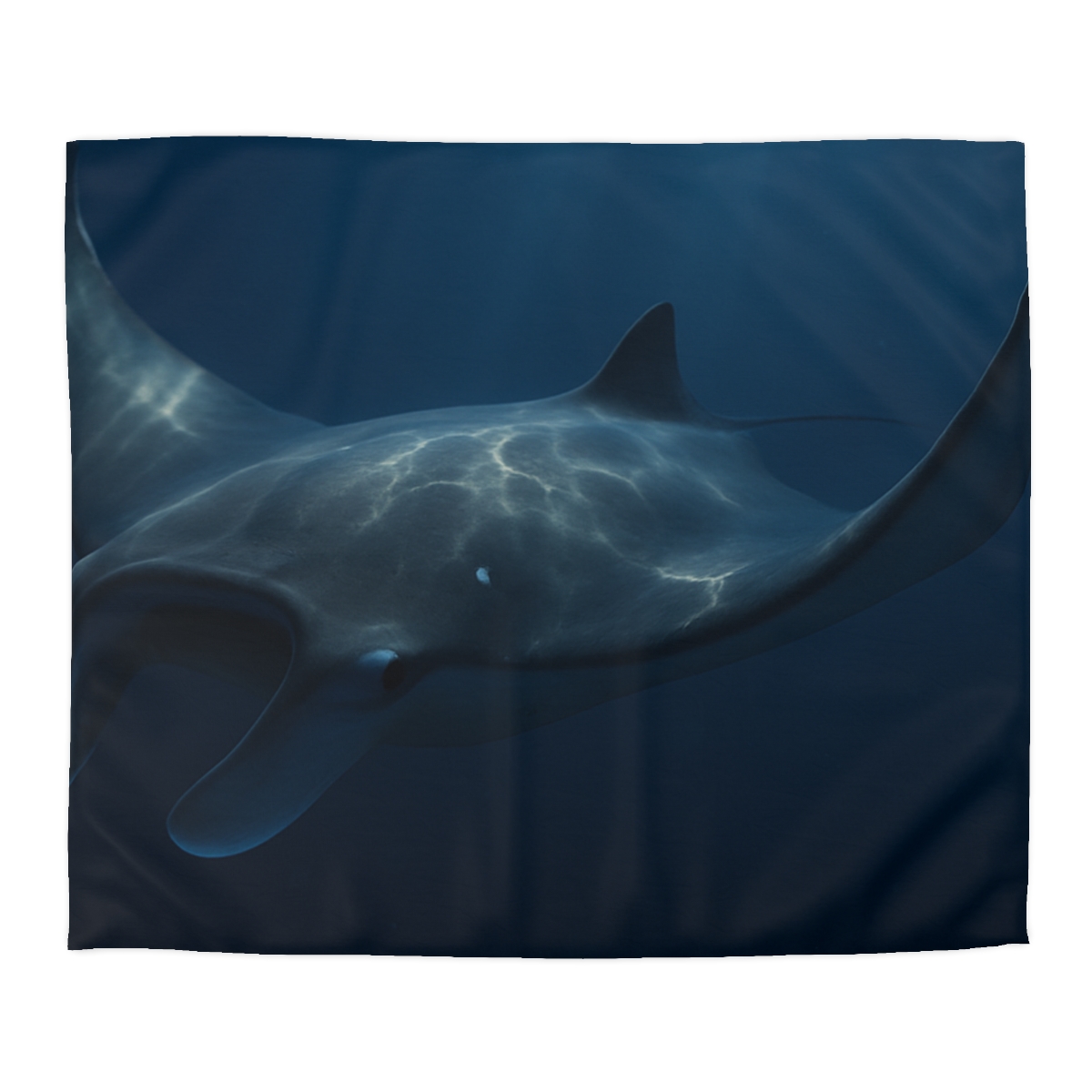 Moonlit Glide Manta Ray custom duvets