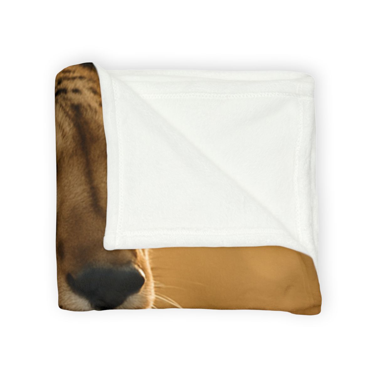 Sunlit Stare Cheetah warm winter blankets