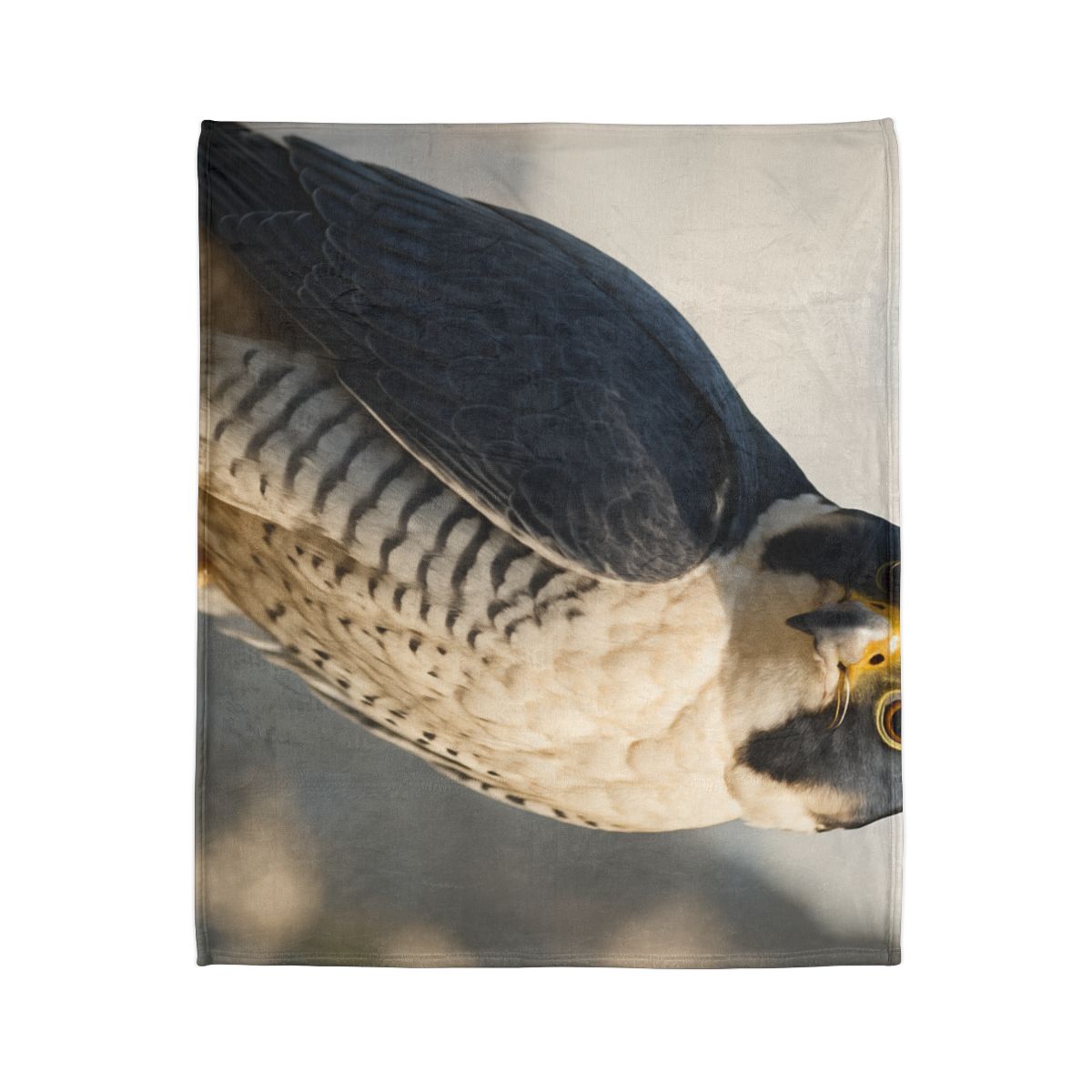 Velocity Gaze Peregrine Falcon decorative home blankets