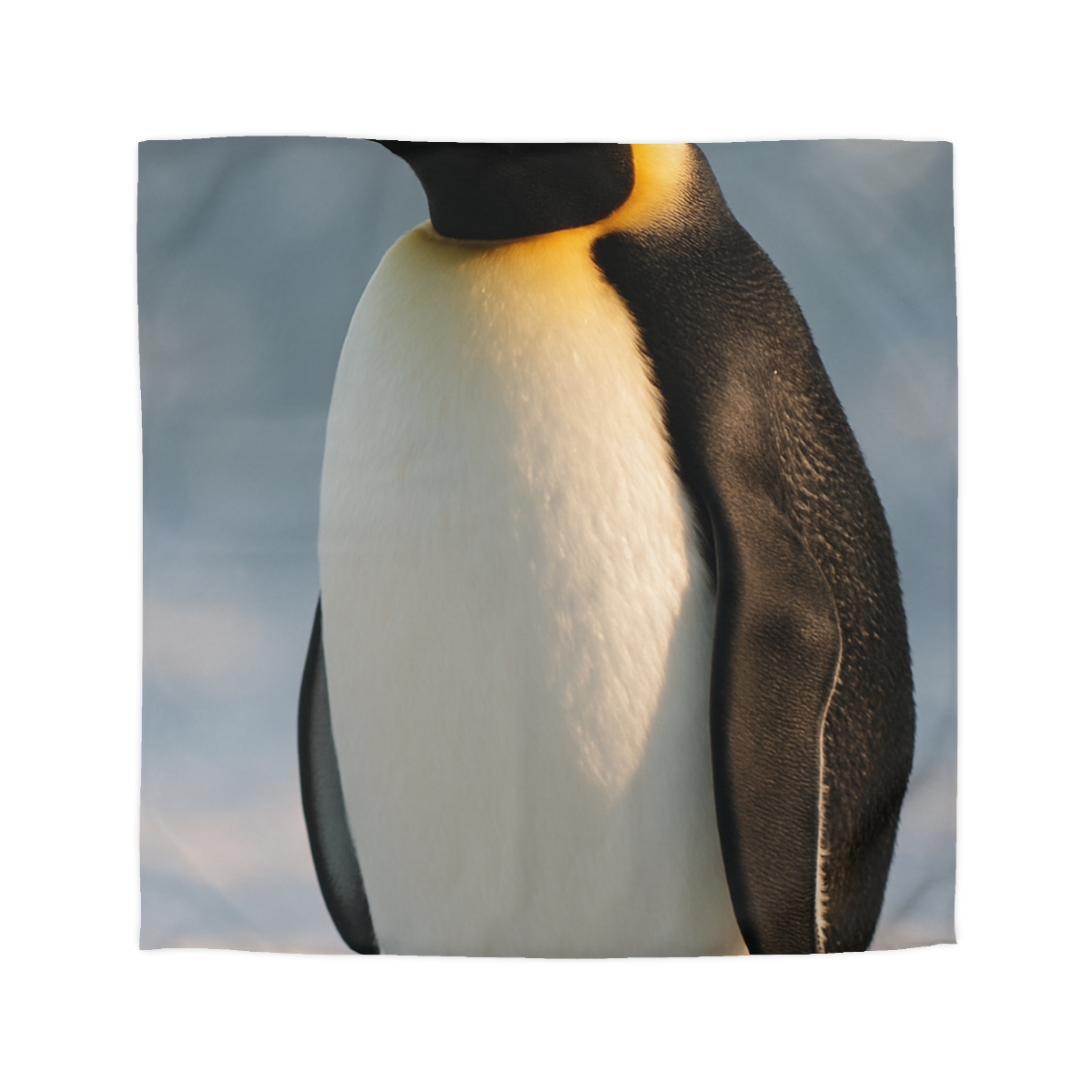 Aurora Drift Emperor Penguin unique patterned duvets