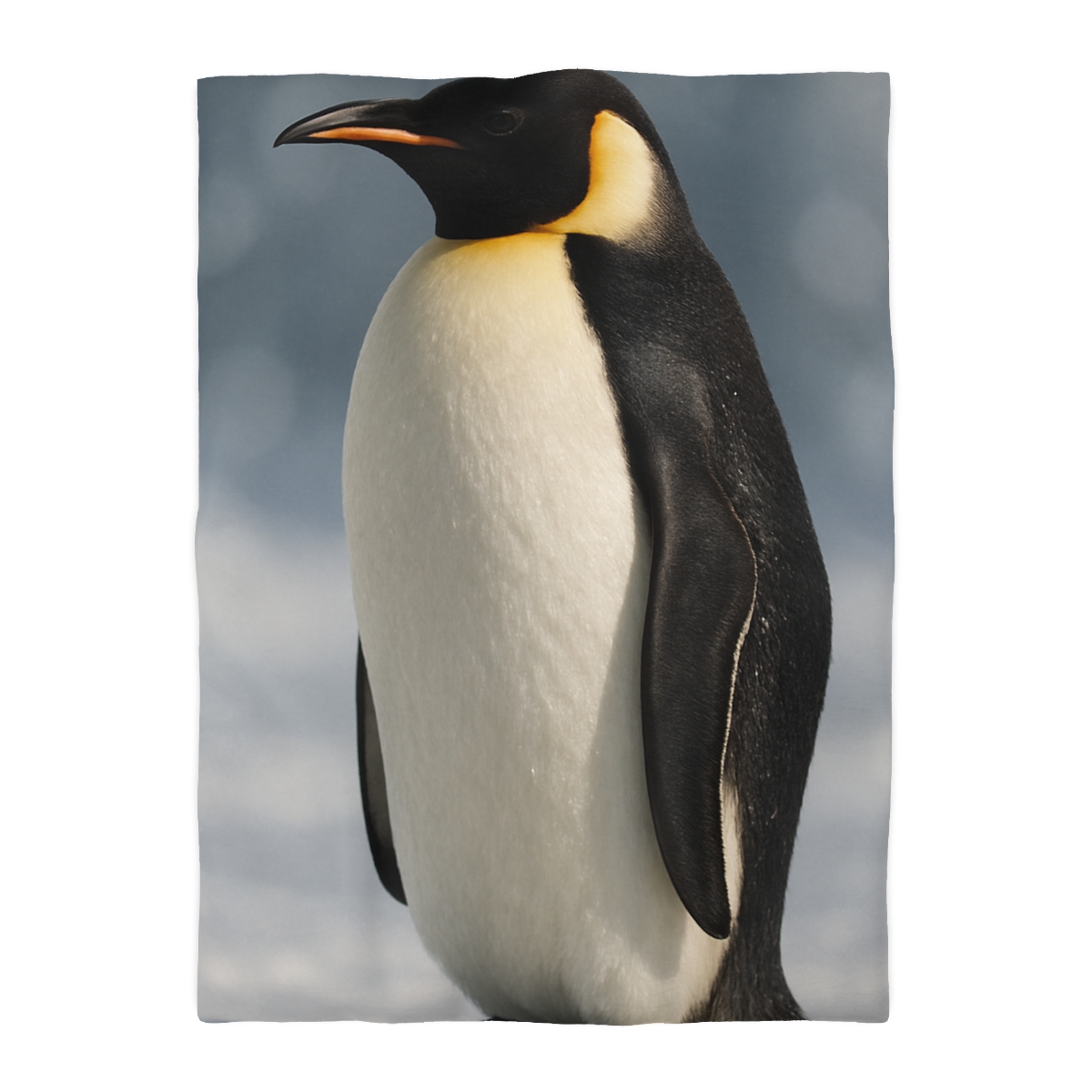 Aurora Drift Emperor Penguin stylish duvet covers