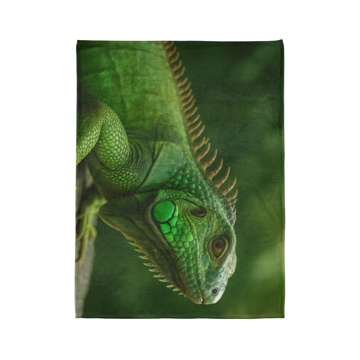 Stone Watcher Green Iguana decorative home blankets