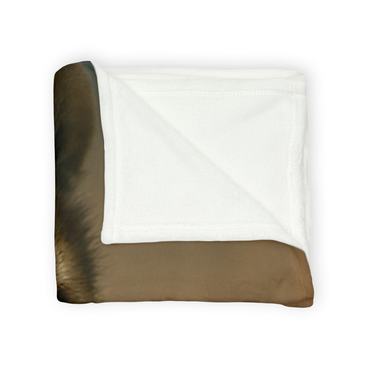 Dawn Racer Cheetah designer printed blankets