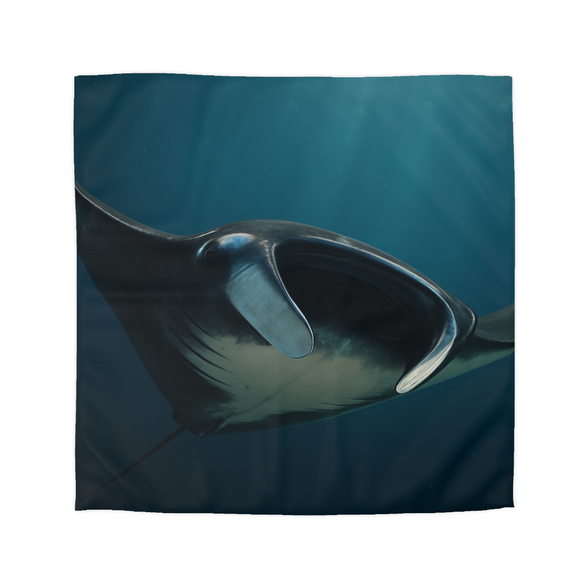 Starlit Glide Manta Ray stylish duvet covers