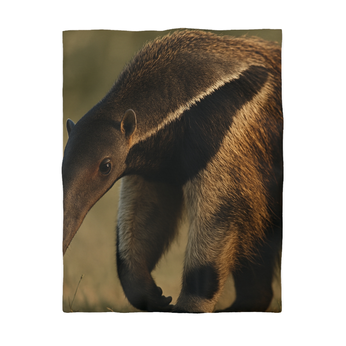Ember Gaze Giant Anteater warm winter duvets