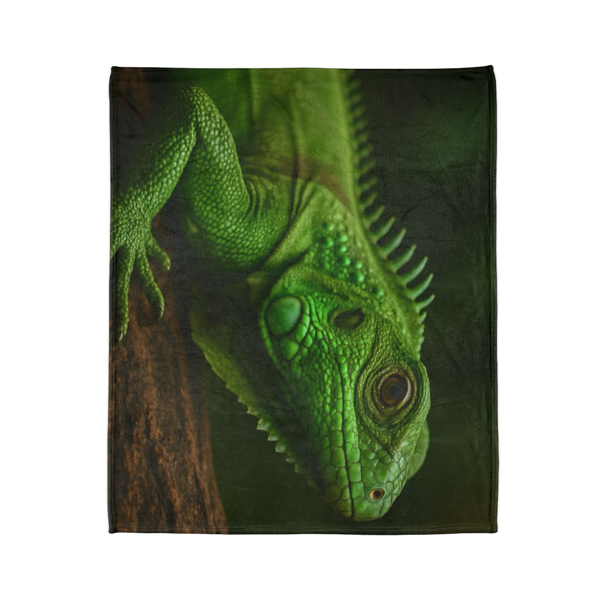Green Iguana Sun Stillness designer printed blankets
