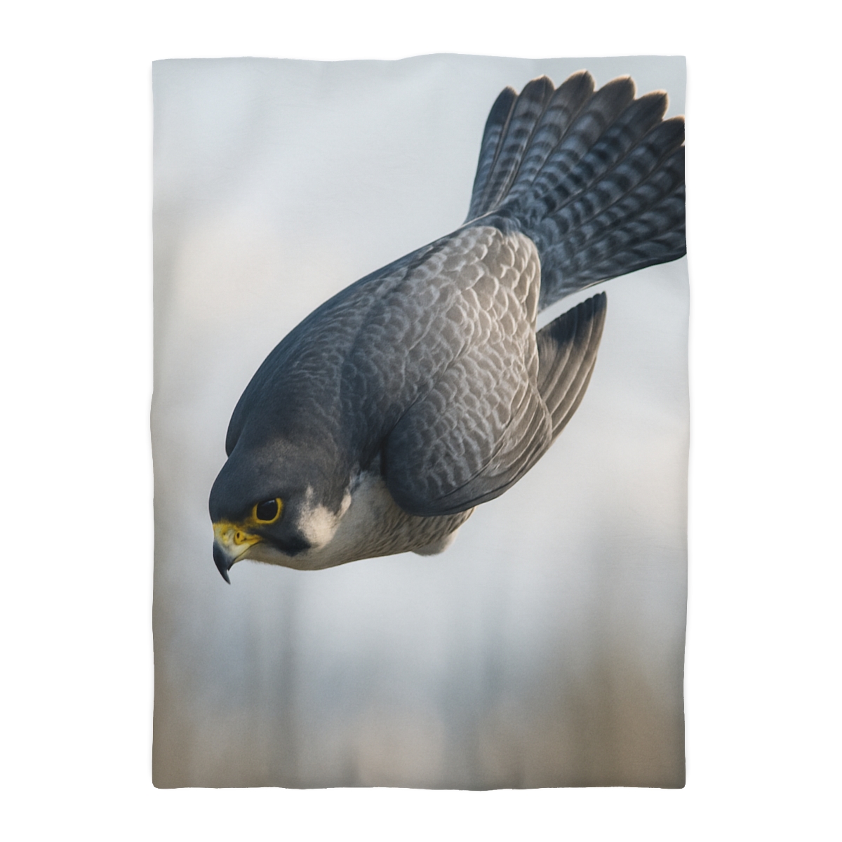 Comet Dive Peregrine Falcon stylish duvet covers