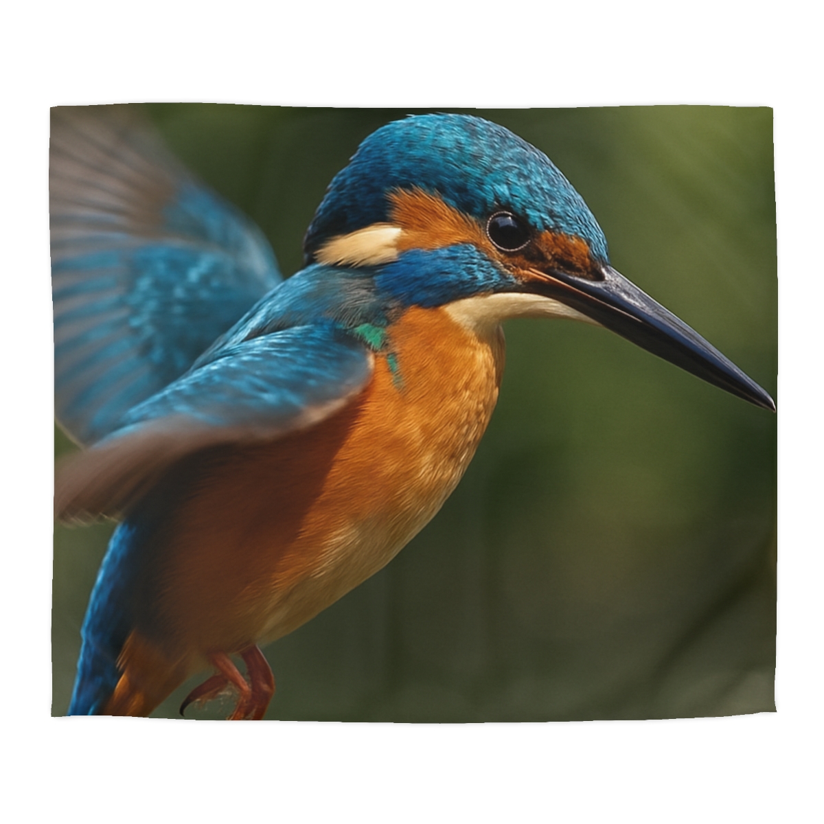 Kingfisher Sapphire Dive warm winter duvets