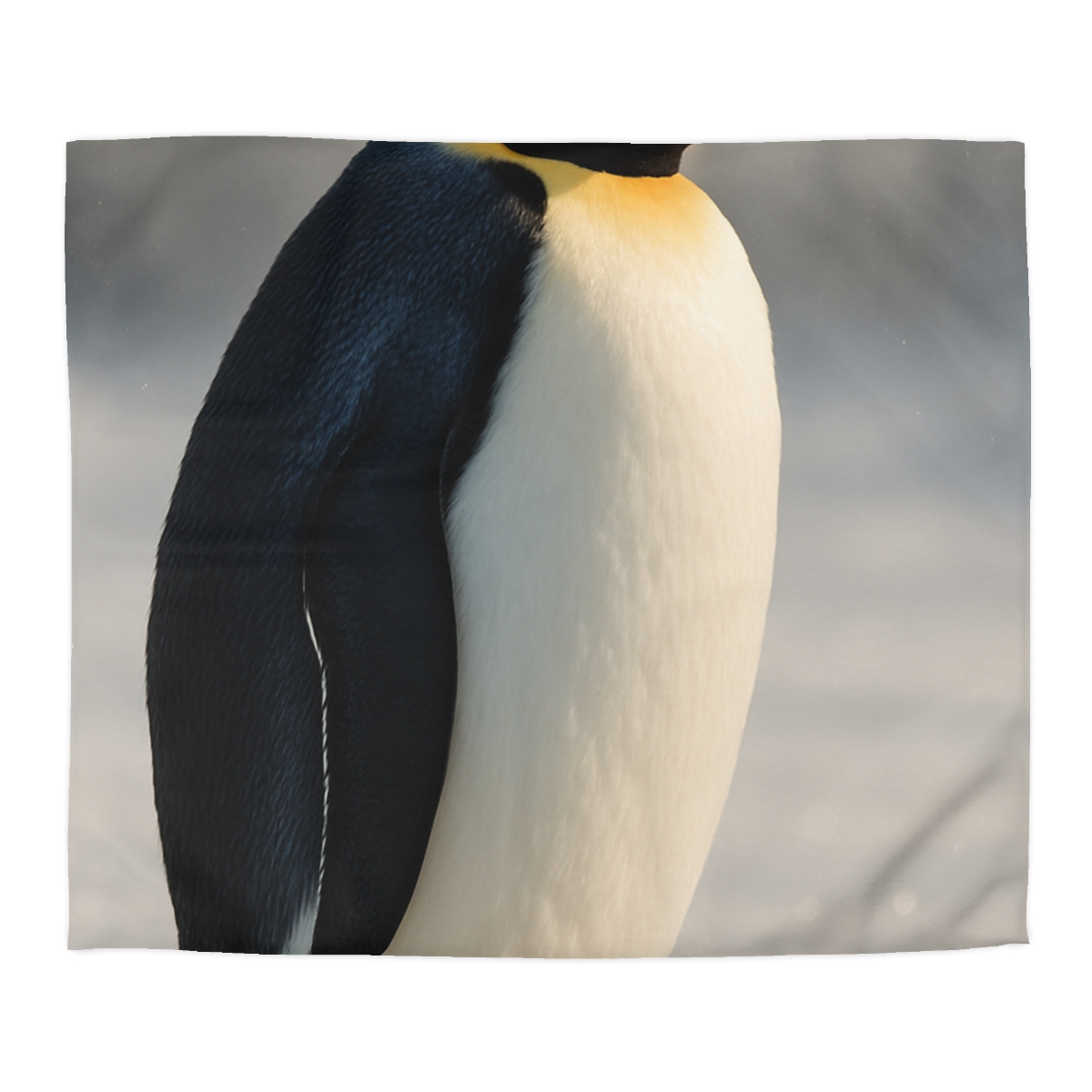Aurora Drift Emperor Penguin custom duvets