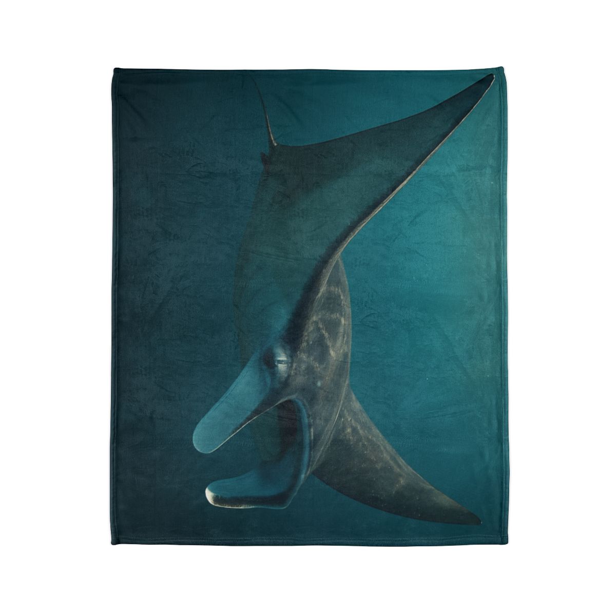 Starlit Drift Manta Ray warm winter blankets