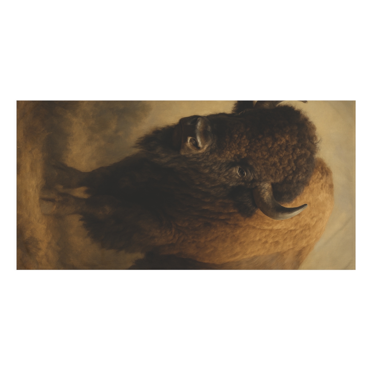 Prairie Titan Bison stylish beach towels