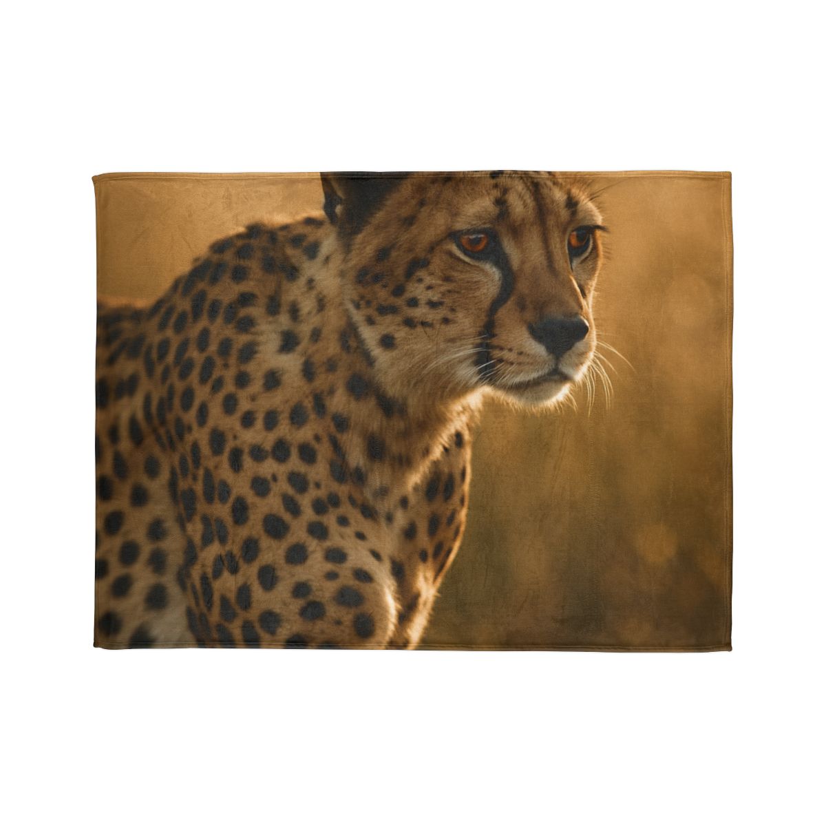 Sunlit Stare Cheetah warm winter blankets
