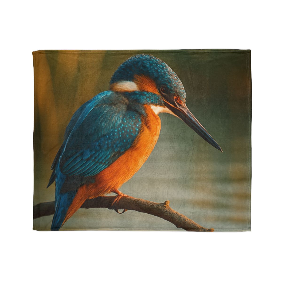 Aurora Splash Common Kingfisher custom blankets