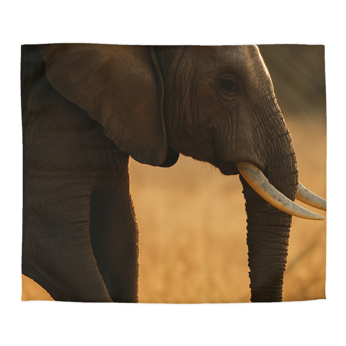 Gilded Horizon African Elephant unique patterned duvets