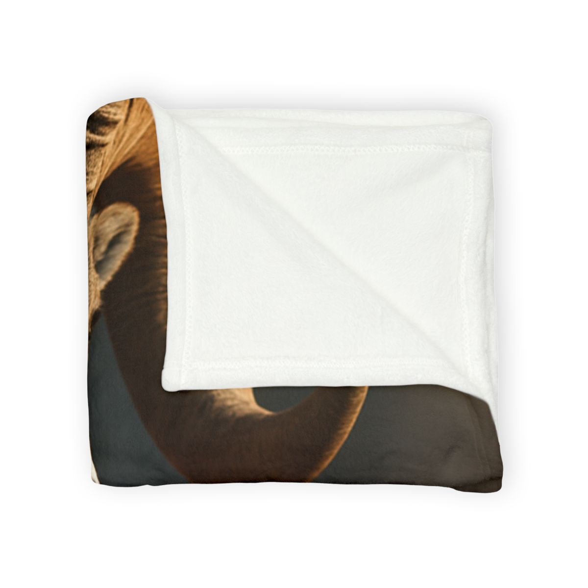 Canyon Shadow Bighorn Sheep trendy patterned blankets