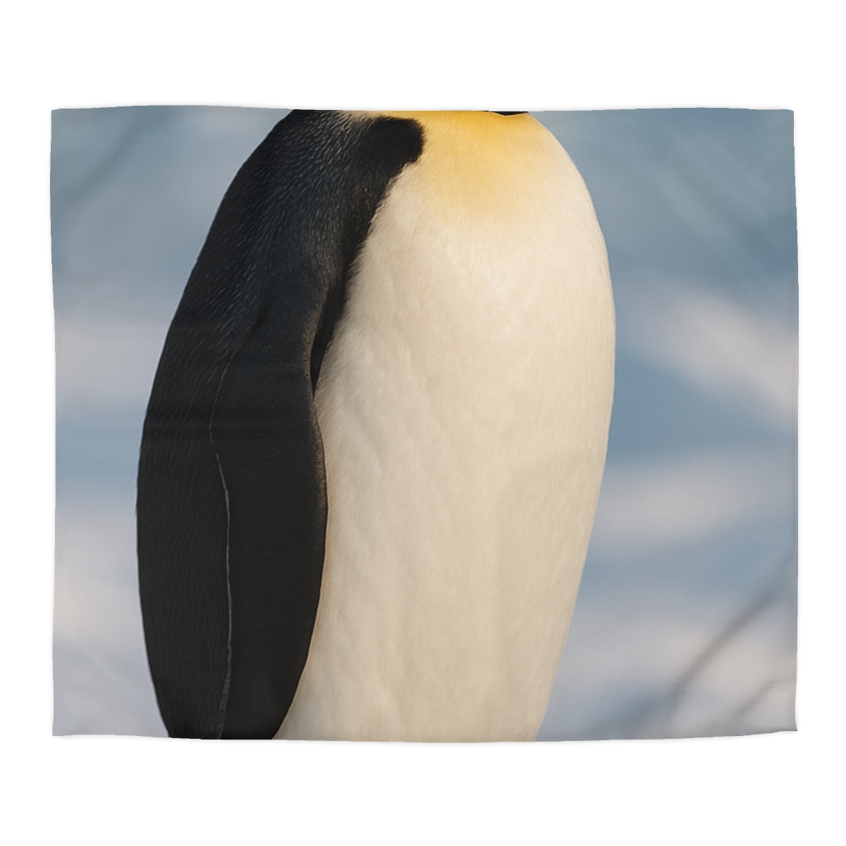 Aurora Drifter Emperor Penguin stylish duvet covers