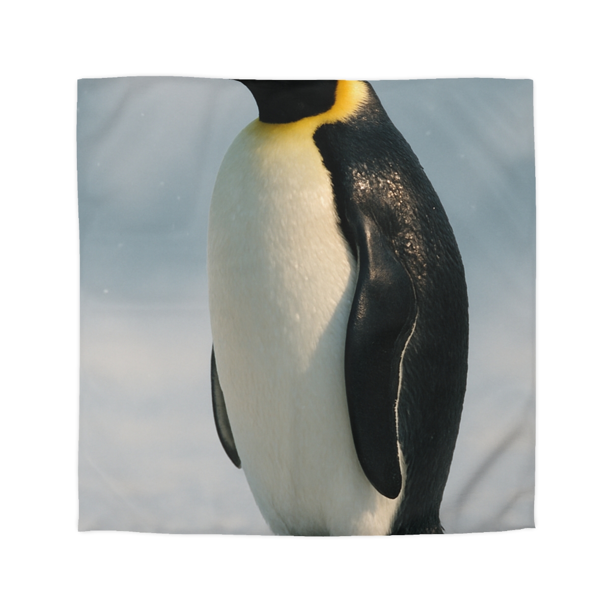 Aurora Drift Emperor Penguin warm winter duvets