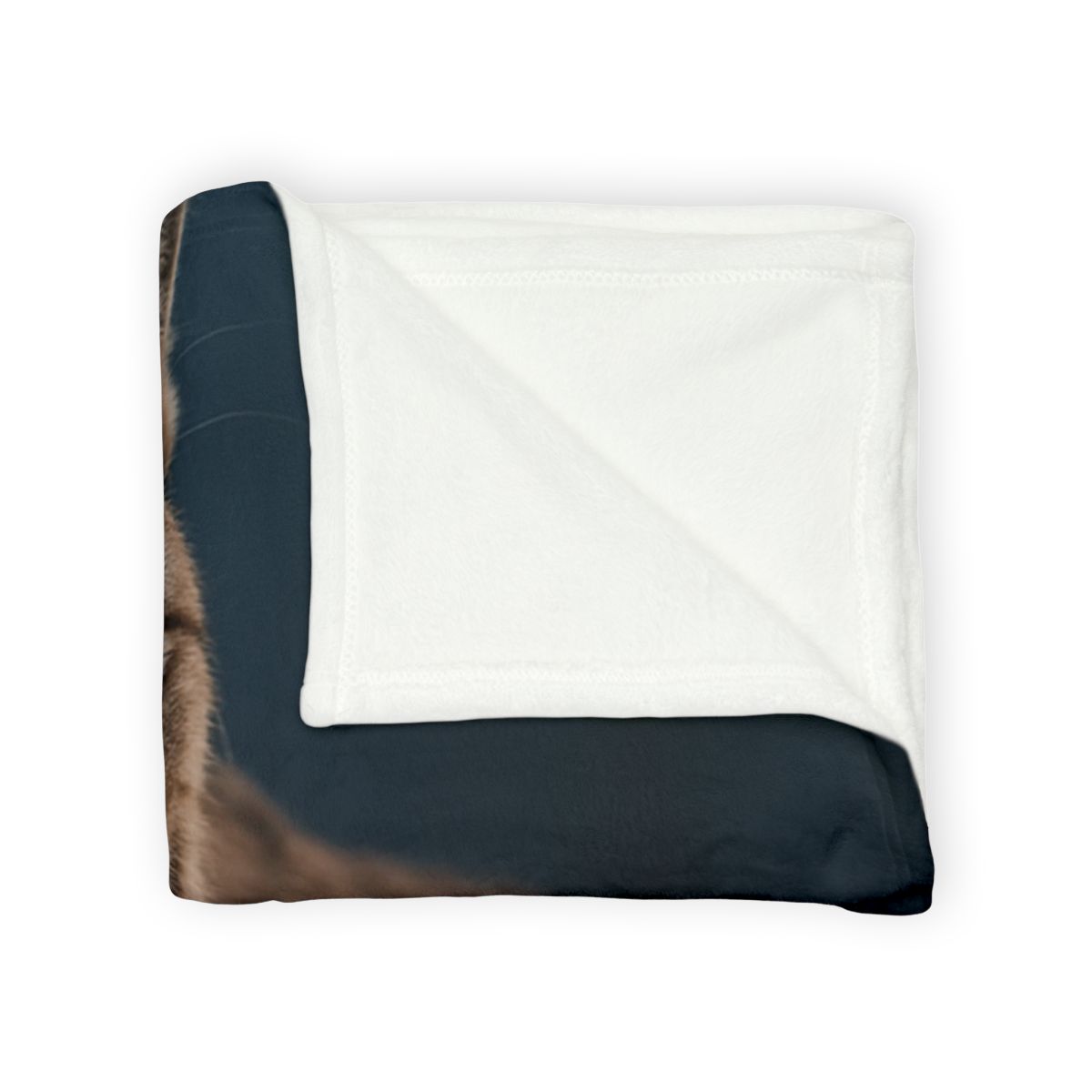 Twilight Prowler Lynx warm winter blankets