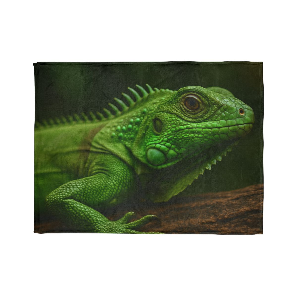 Green Iguana Sun Stillness designer printed blankets