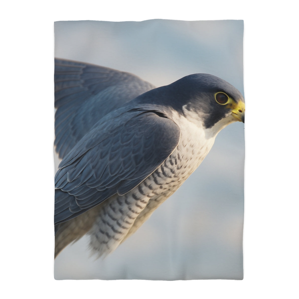 Celestial Glider Peregrine Falcon Duvet